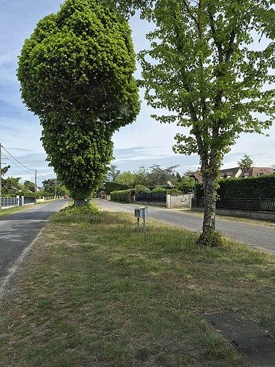 image de la boîte à livres