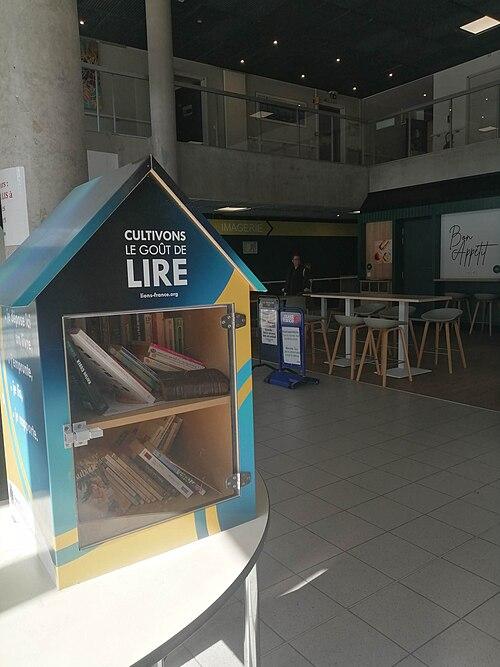Image de la boite à livres