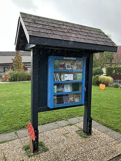 image de la boîte à livres