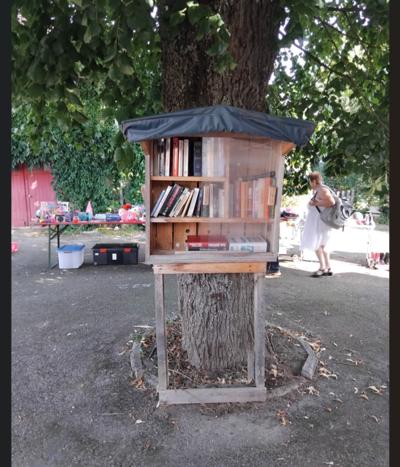 Image de la boite à livres