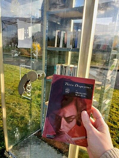 image de la boîte à livres