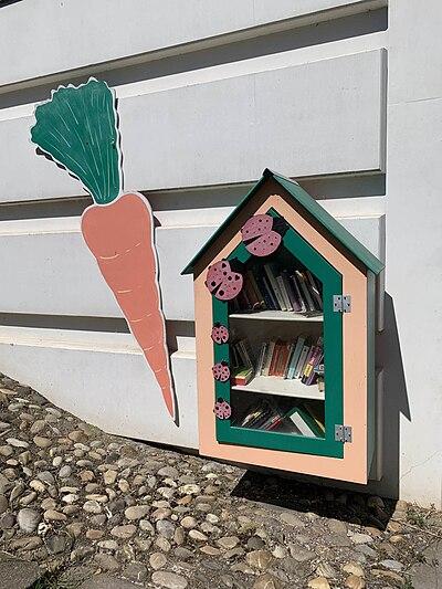 image de la boîte à livres