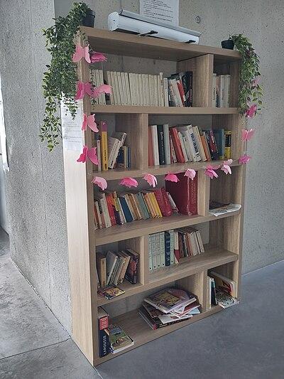 Image de la boite à livres
