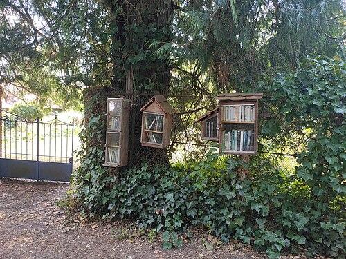 image de la boîte à livres