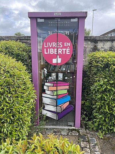 Image de la boite à livres