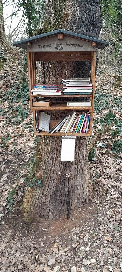 Image de la boite à livres